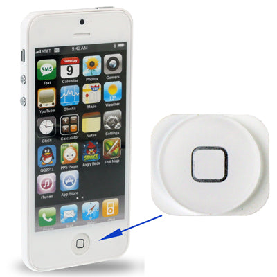 Apple iPhone 5 Home Button
